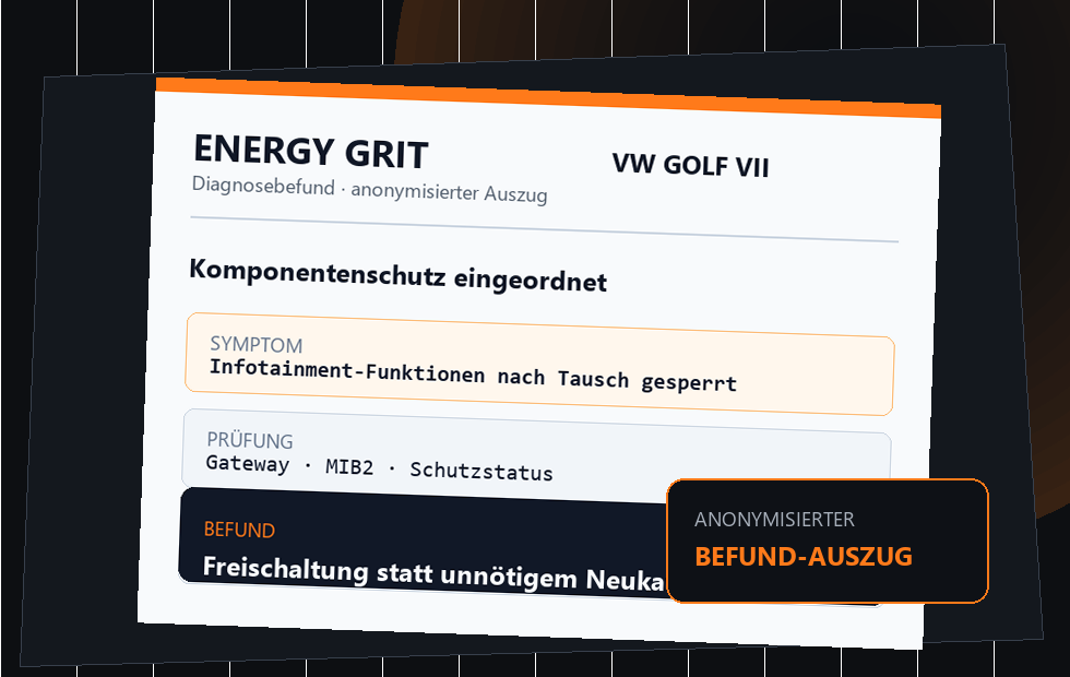 Professioneller anonymisierter Diagnosebefund-Auszug zum Komponentenschutz beim VW Golf VII